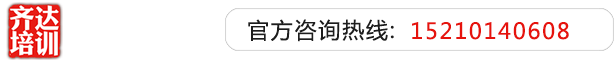 日韩日屄齐达艺考文化课-艺术生文化课,艺术类文化课,艺考生文化课logo